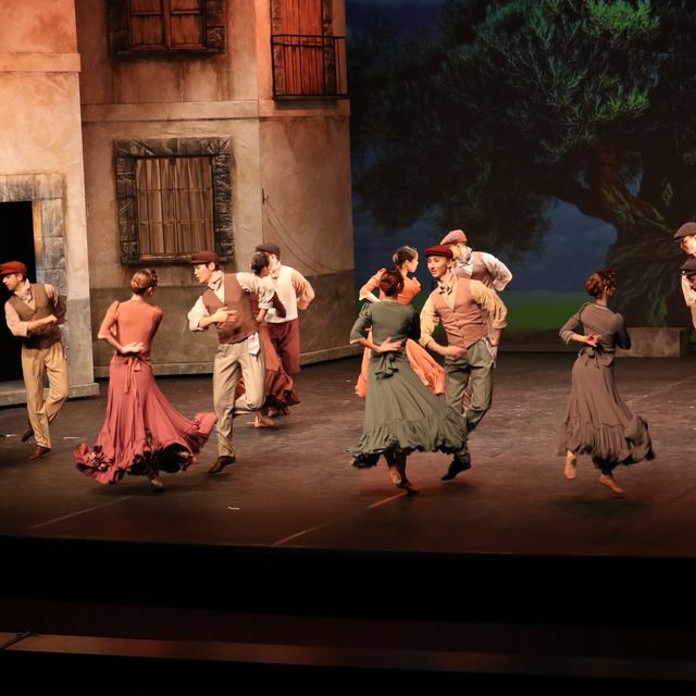 SAMDOB "Kanlı Düğün" balesini sanatseverlerle buluşturacak