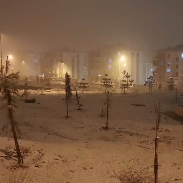 Elazığ'da kar etkili oldu