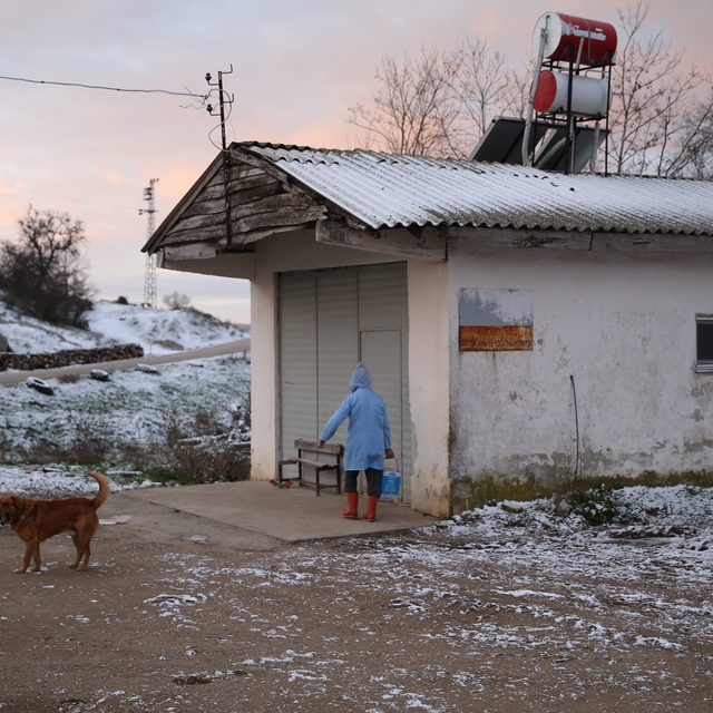 Edirne'nin yüksek kesimlerinde kar etkili oluyor