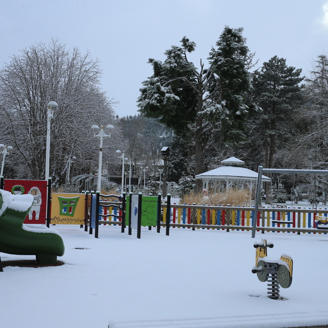 Tokat'ta kar etkili oluyor
