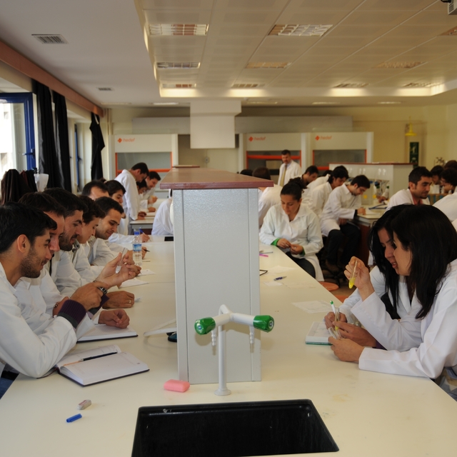 YÖK, depremlerden etkilenen 11 ildeki üniversitelerin çalışmalarını paylaşt...