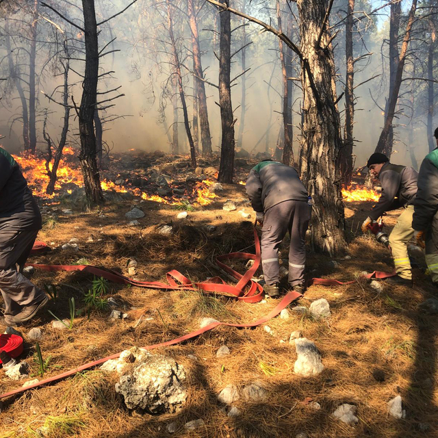 Antalya'da orman yangını (2)