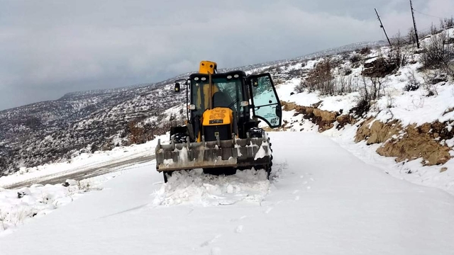 Bingöl, Şırnak ve Siirt'te kar ve tipi etkili oldu