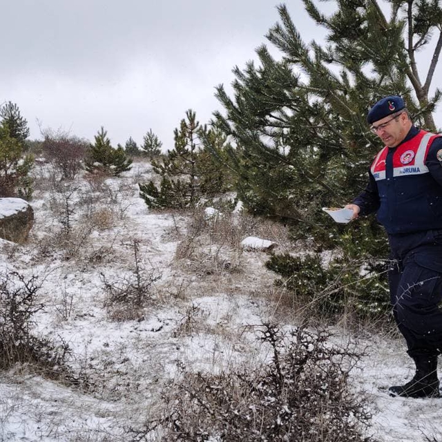 Yozgat'ta jandarma yaban hayvanları için doğaya yem bıraktı