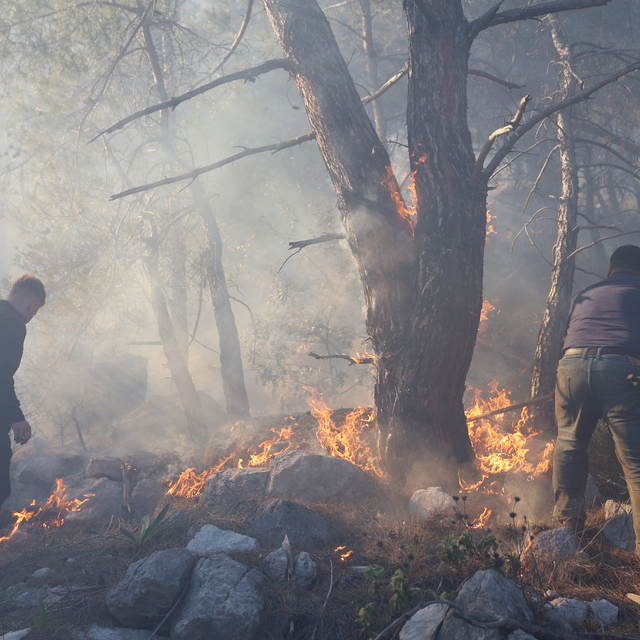 Antalya'da orman yangını (3)