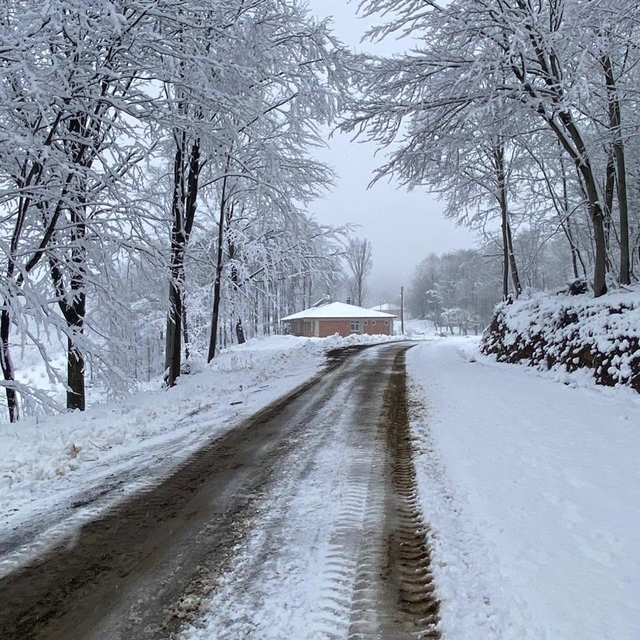 Samsun'da okullara 'kar' tatili