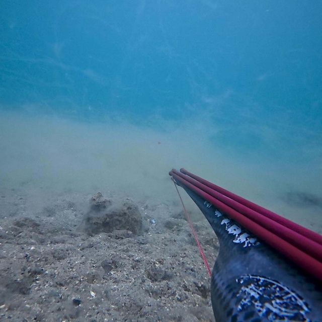 Çanakkale Boğazı'nda deniz dibinde müsilaj yoğunluğu