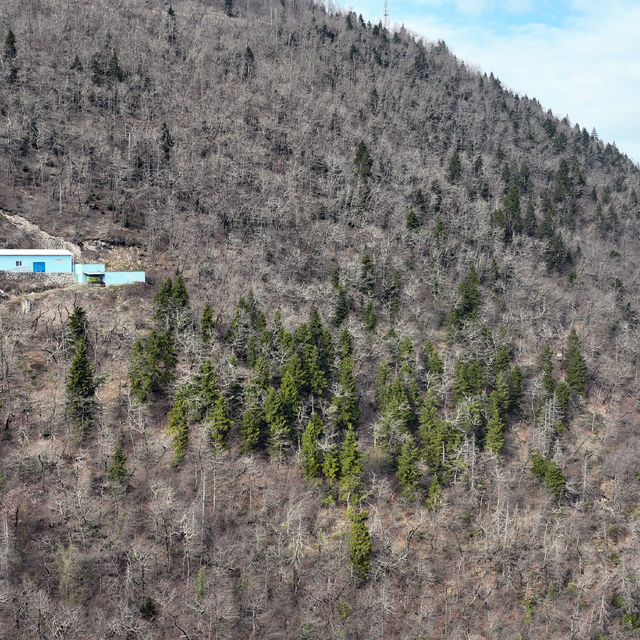 Ormancılar 20 bin kişiye yangın eğitimi verecek