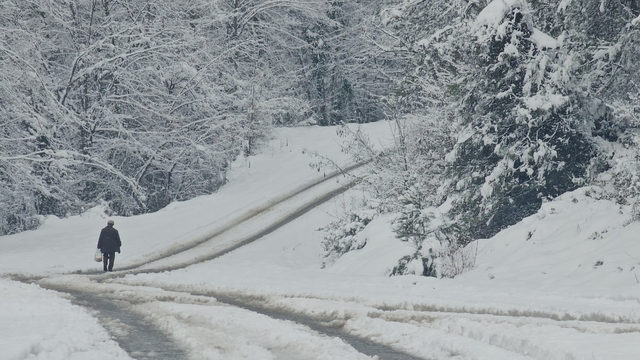 Zonguldak'ta 67 köy yolu ulaşıma kapalı