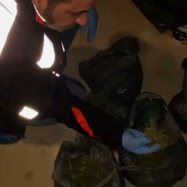 Evinde 3,5 kilo esrar ile yakalandı