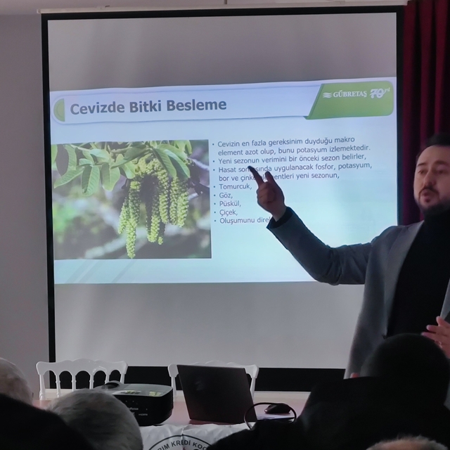 Oğuzlar'da ceviz üreticilerine "bitki besleme" eğitimi verildi