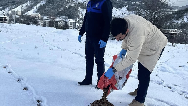 Göynük'te sahipsiz hayvanlar için yem bırakıldı