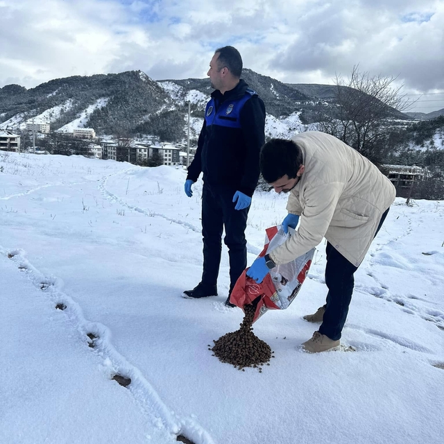 Göynük'te sahipsiz hayvanlar için yem bırakıldı