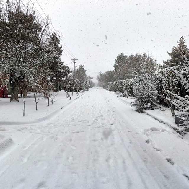 Niğde'nin Bor ilçesinde kar etili oluyor