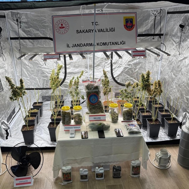 Sakarya'da iklimlendirme sistemiyle uyuşturucu yetiştiren 2 şüpheli tutukla...