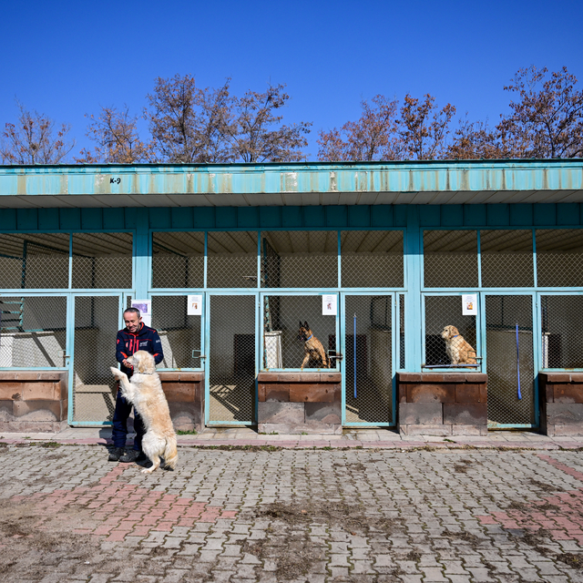 Emekliye ayrılan arama kurtarma köpeği "Poyraz", AFAD yerleşkesinde misafir...