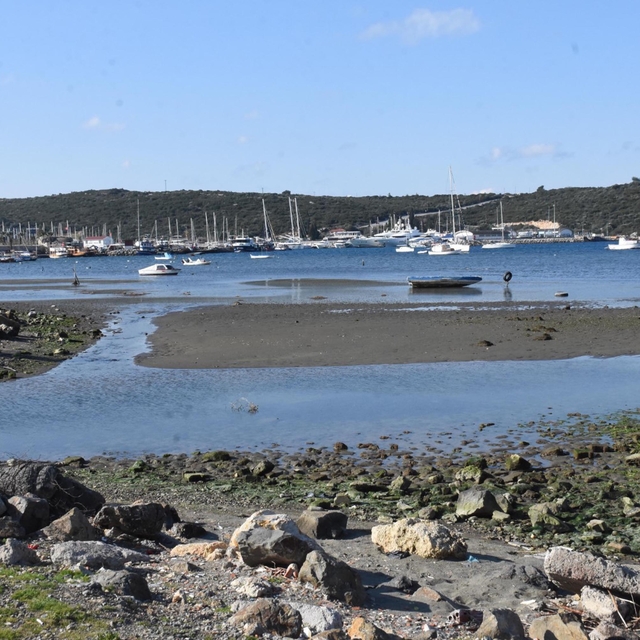 Prof. Dr. Yaşar: İzmir'de deniz çekilmesinin depremlerle ilgisi yok
