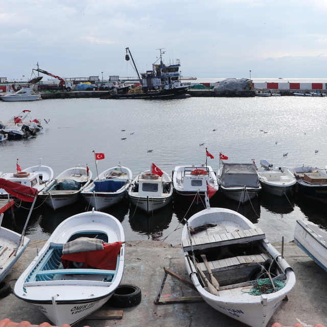 Tekirdağlı balıkçılar poyraz nedeniyle 5 gündür denize açılamıyor