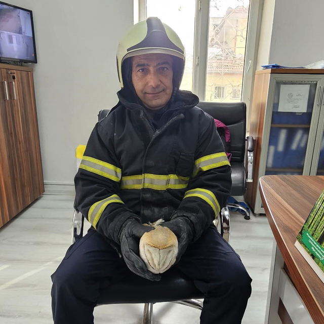 Su saatine sıkışan baykuşu itfaiye kurtardı