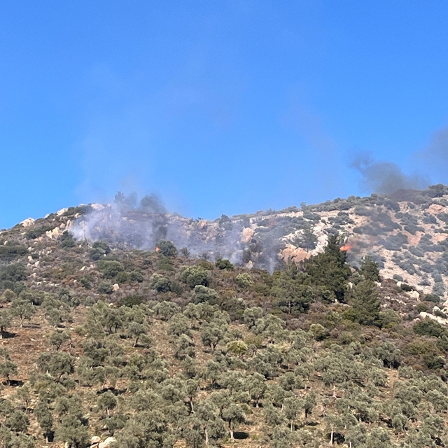 Milas'ta makilik alanda yangın başladı