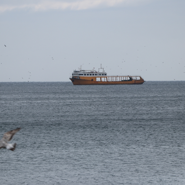 Tekirdağ'da poyraz 6 gündür deniz ulaşımını olumsuz etkiliyor
