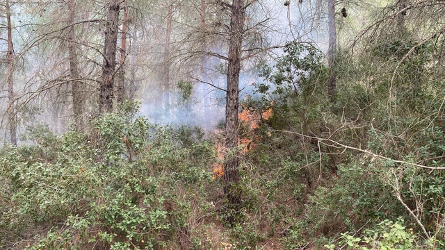 Osmaniye'de çıkan orman yangını kontrol altına alındı