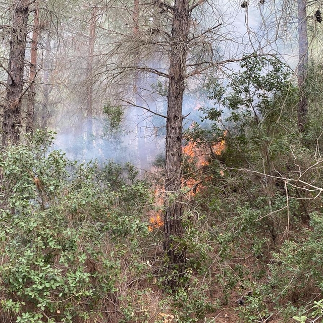 Osmaniye'de çıkan orman yangını kontrol altına alındı