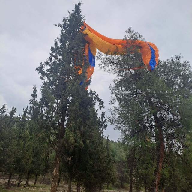 Paraşütü ağaca takıldı, itfaiye kurtardı