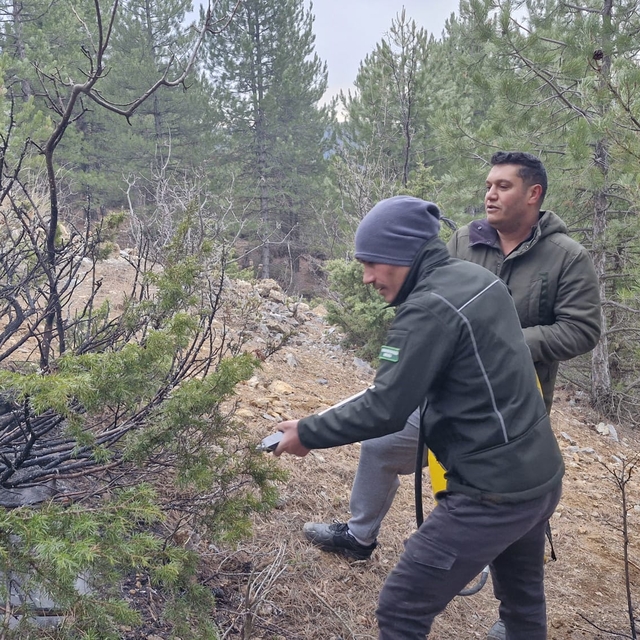 Adana'da ormanlık alanda çıkan yangın söndürüldü