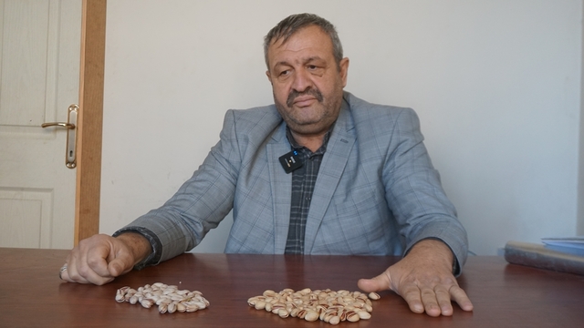Siirt Fıstık Üreticileri Birliği'nden 'kaçak İran fıstığı' uyarısı