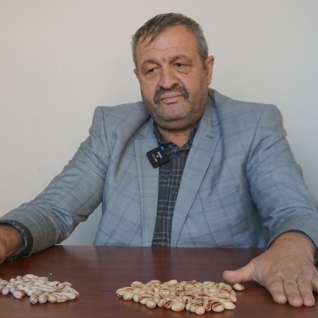 Siirt Fıstık Üreticileri Birliği'nden 'kaçak İran fıstığı' uyarısı