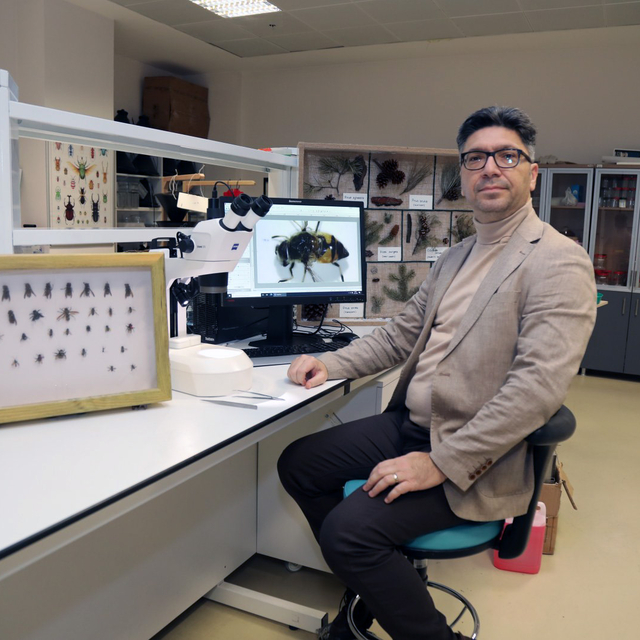 Uludağ ormanlarındaki arı türlerinin çeşitliliği belirlenecek