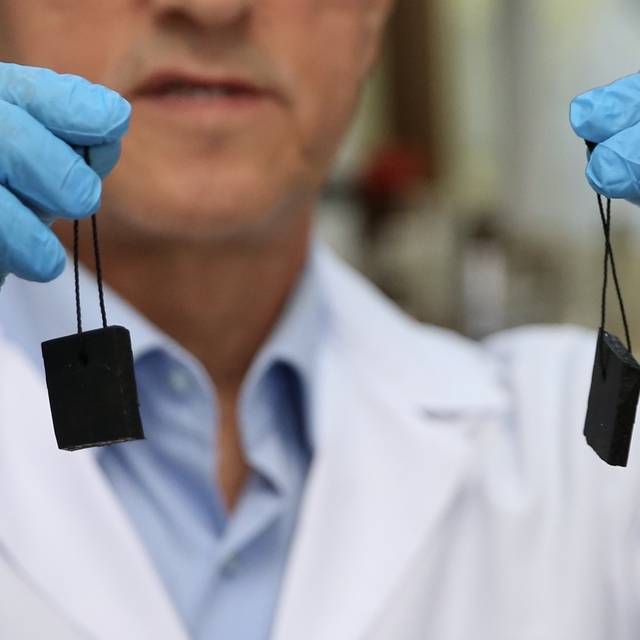 Akademisyenler kahverengi kokarcayla mücadelede kullanılacak yerli feromon...