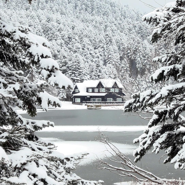 Gölcük Tabiat Parkı'nda kar manzarası