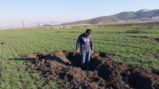 Gaziantep'te çiftçilerin "yaban domuzu" nöbeti