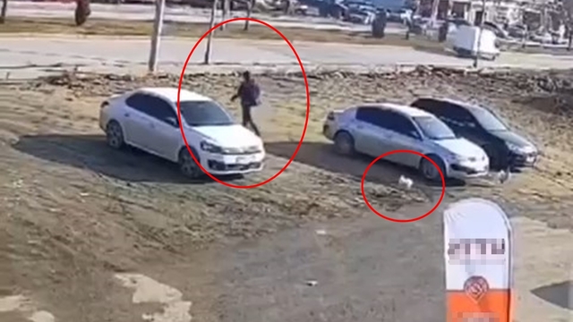 Horoz, sayaç okumaya gelen görevliyi kovaladı; o anlar kamerada