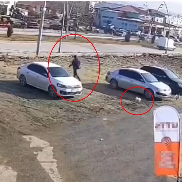 Horoz, sayaç okumaya gelen görevliyi kovaladı; o anlar kamerada