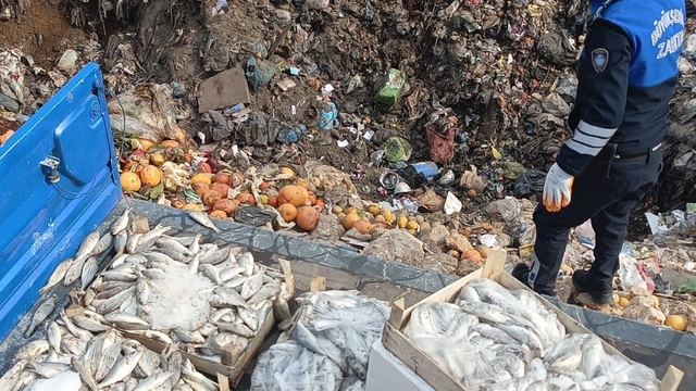 Mersin'de sağlıksız oldukları belirlenen 16 kasa balık imha edildi