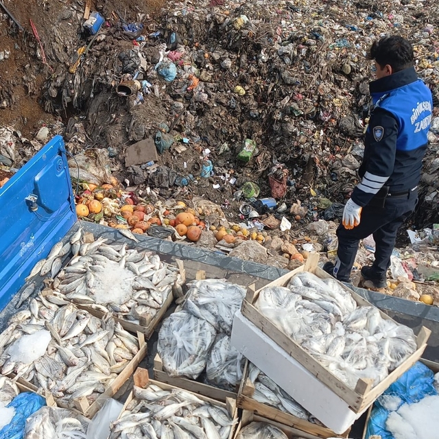 Mersin'de sağlıksız oldukları belirlenen 16 kasa balık imha edildi