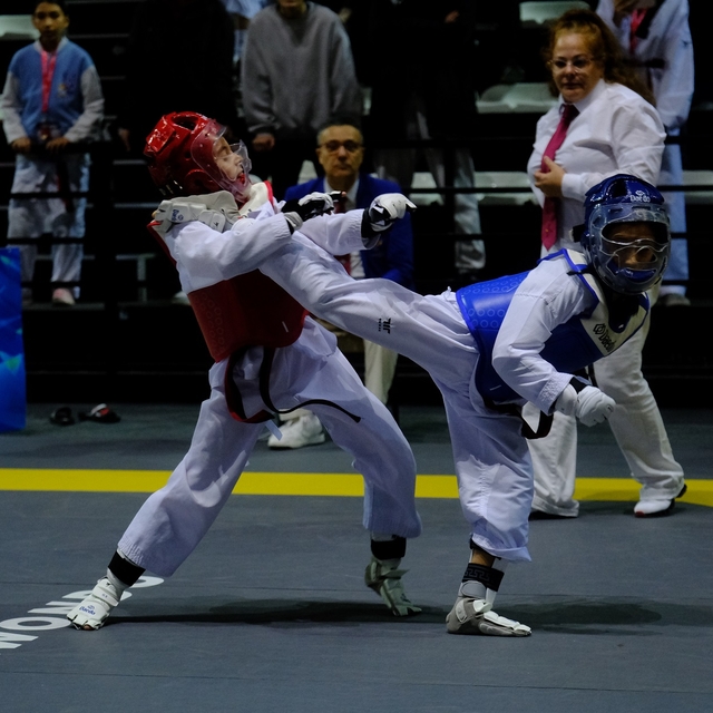 Milli sporculardan Uluslararası Türkiye Açık Tekvando Turnuvası'nda 33 mada...