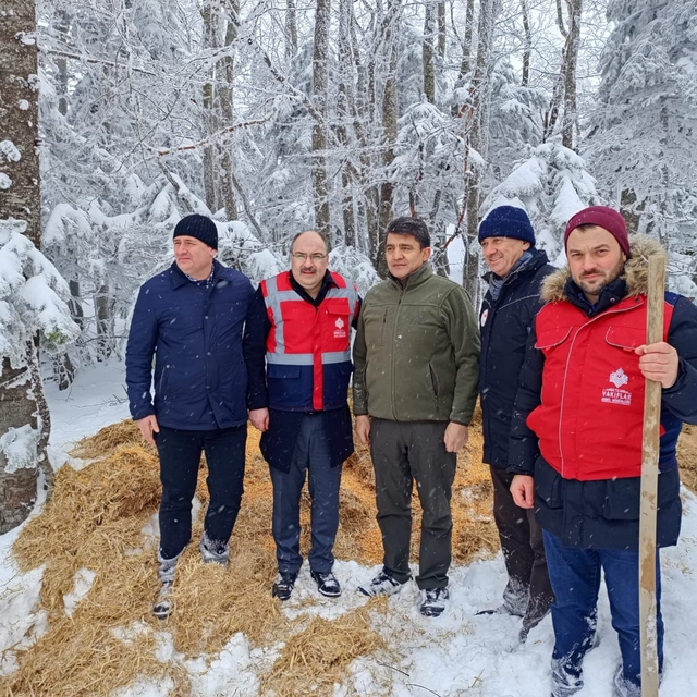 Uludağ'da yaban hayvanları için yem bırakıldı