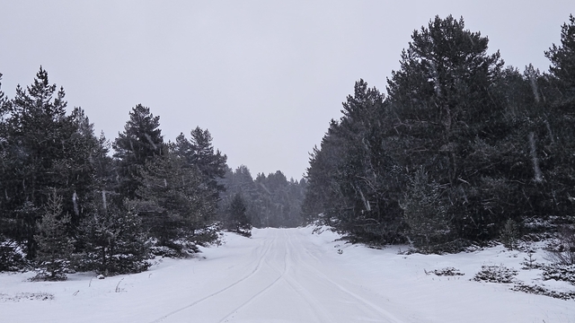Çankırı ve bazı ilçelerinde kar yağışı etkili oluyor
