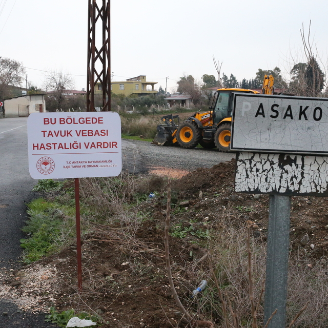 Hatay'da kuş gribi görülen mahalle karantinaya alındı