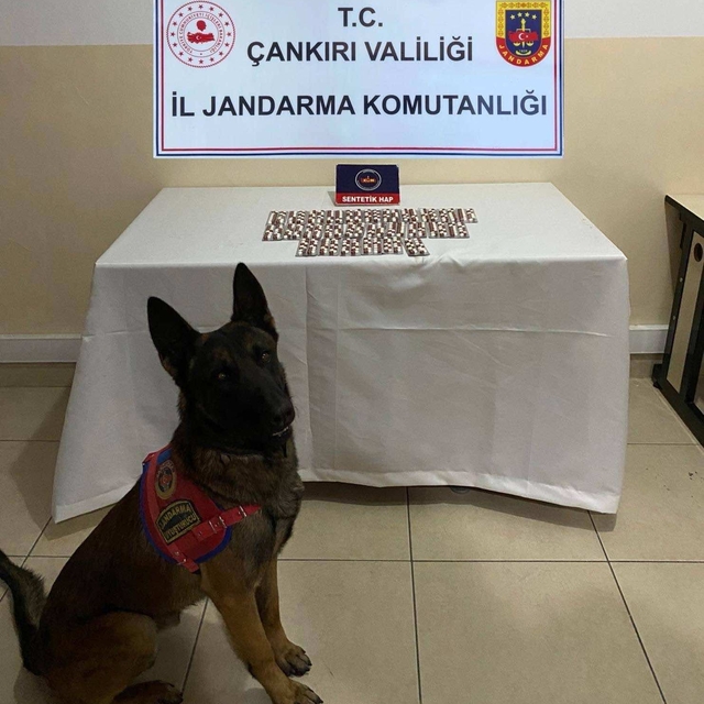 Çankırı'da çeşitli suçlardan aranan 116 kişi yakalandı