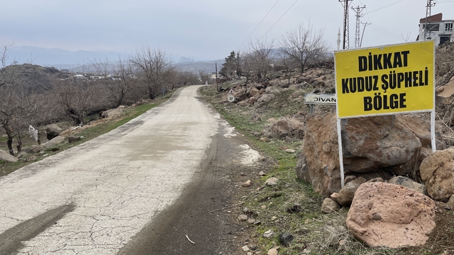 Şanlıurfa'da sahipsiz köpeğin kadına saldırısının güvenlik kamerası görüntüleri ortaya çıktı
