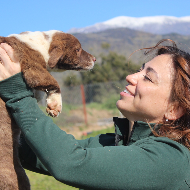 Hollanda'da yaşayan 3 Türk kadın, sahipsiz hayvanlar için İzmir'de barınak...