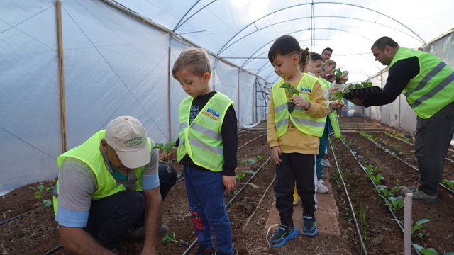 Erdemli'de kreş öğrencileri yetiştirdikleri sebzelerin hasadını yaptı