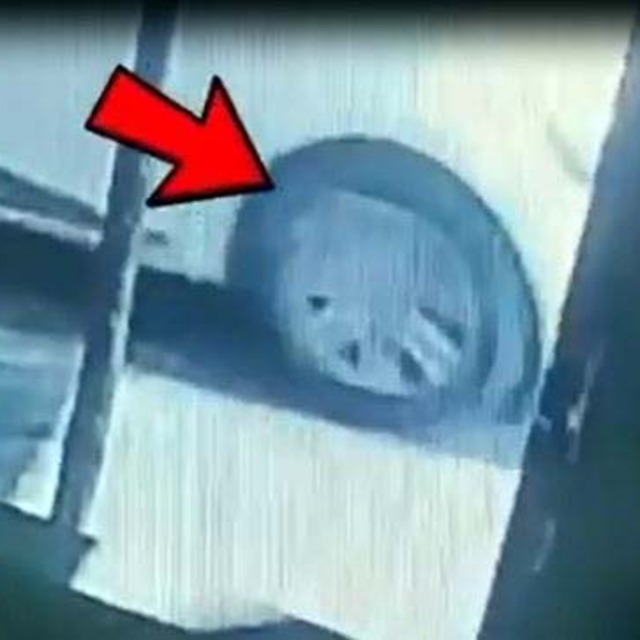 Cinayet şüphelilerini plaka değişimi ele verdi