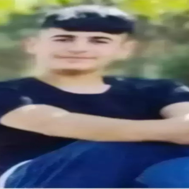 Narin Güran cinayeti; ağabeyi Enes Güran'ın avukatından istinaf başvurusu