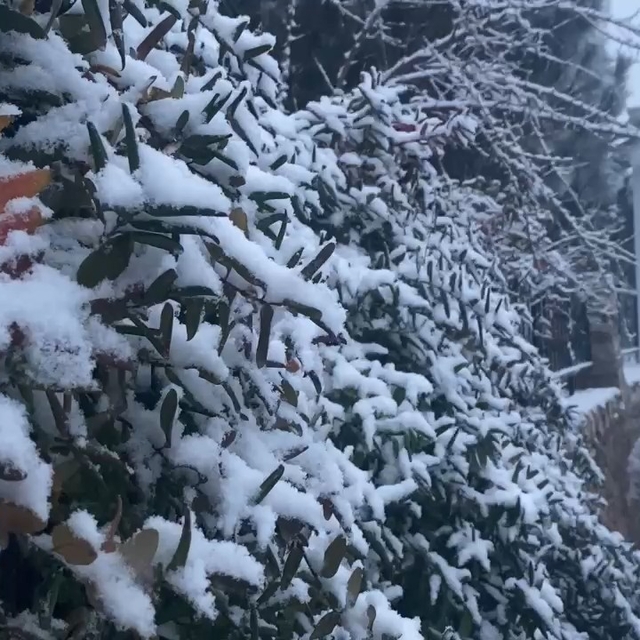 Elazığ'da kardan 129 köy yolu ulaşıma kapandı